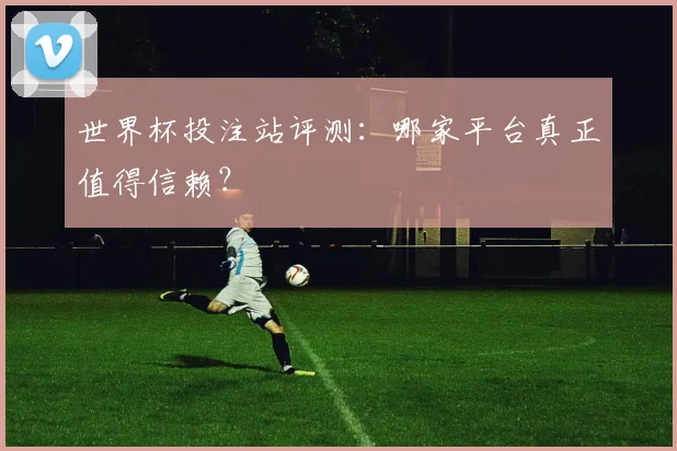 世界杯投注站评测：哪家平台真正值得信赖？