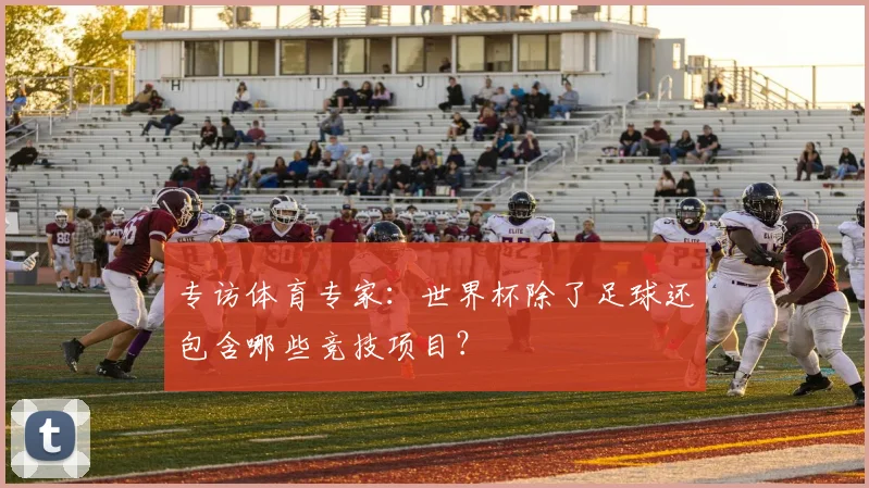 专访体育专家：世界杯除了足球还包含哪些竞技项目？