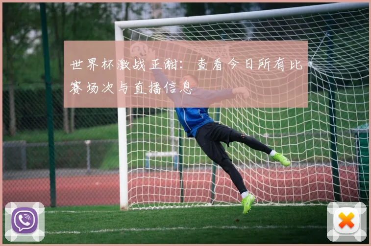 世界杯激战正酣：查看今日所有比赛场次与直播信息
