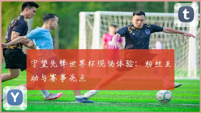 守望先锋世界杯现场体验:粉丝互动与赛事亮点