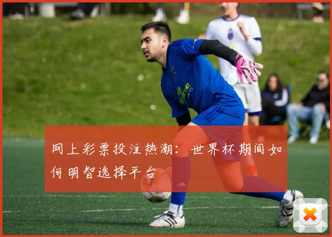 网上彩票投注热潮：世界杯期间如何明智选择平台
