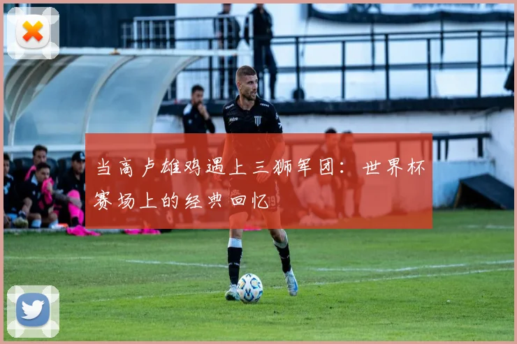 当高卢雄鸡遇上三狮军团:世界杯赛场上的经典回忆