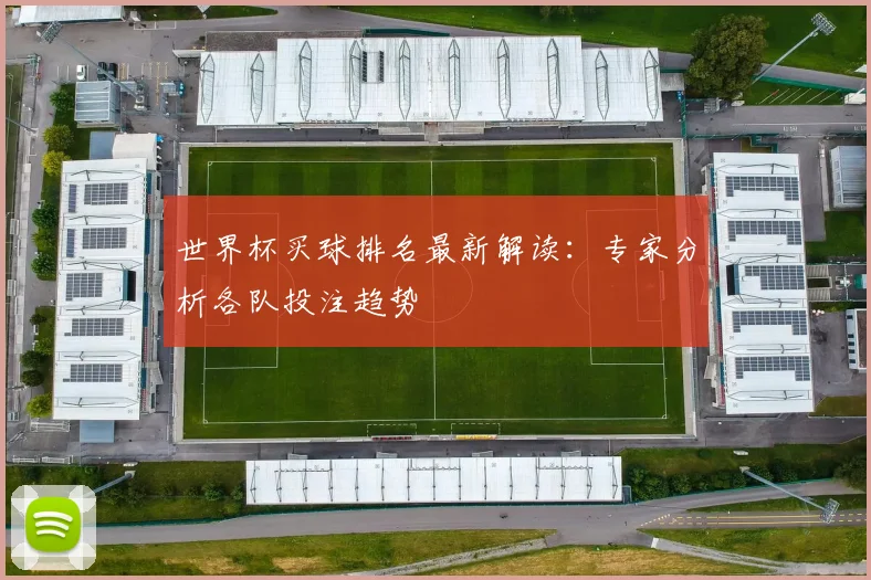 世界杯买球排名最新解读:专家分析各队投注趋势