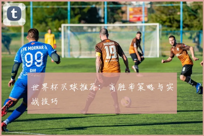 世界杯买球推荐:高胜率策略与实战技巧